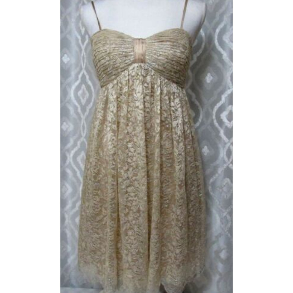 Lyndia Procanik Gold Silver Metallic Lace Dress